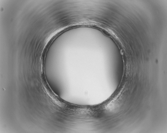 X0000087360838200705111643