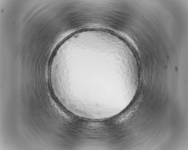 X0000087360839200705111643