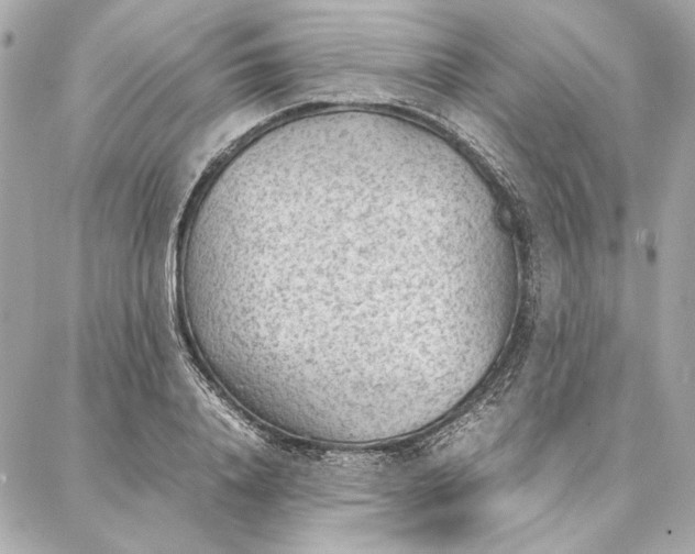 X0000087360840200705111643