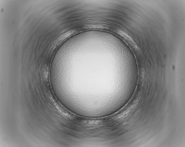 X0000087360841200705111643