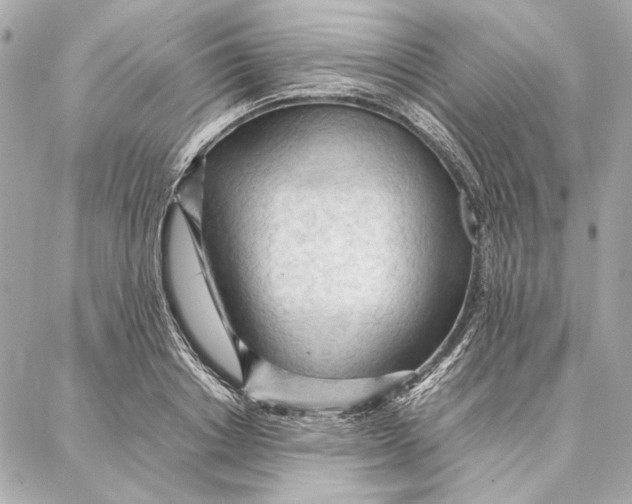 X0000087360842200705111643