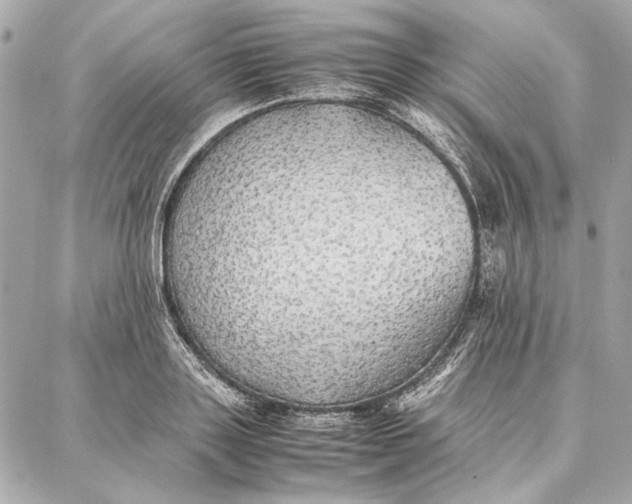 X0000087360843200705111643