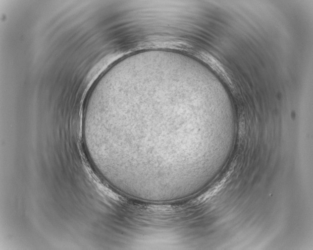 X0000087360844200705111643