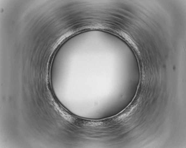 X0000087360845200705111643