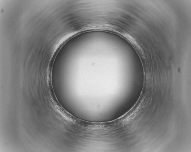 X0000087360846200705111643