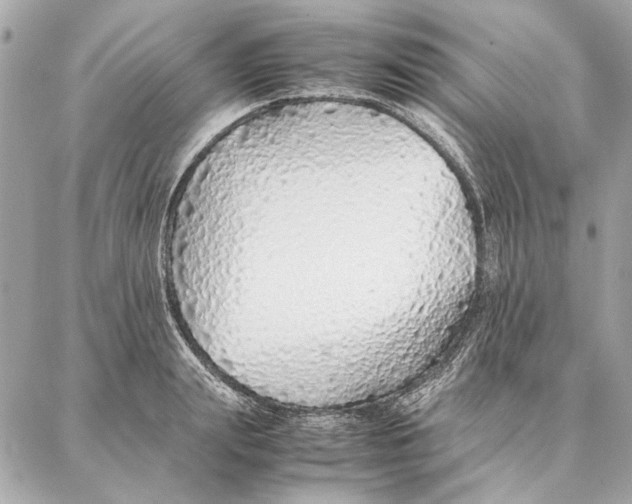 X0000087360847200705111643