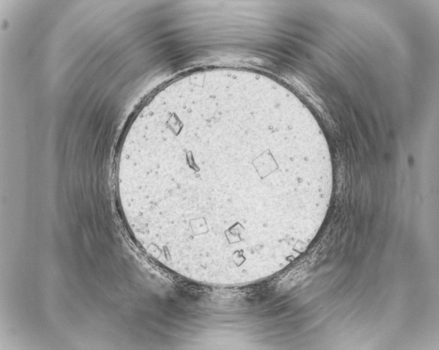 X0000087360848200705111643