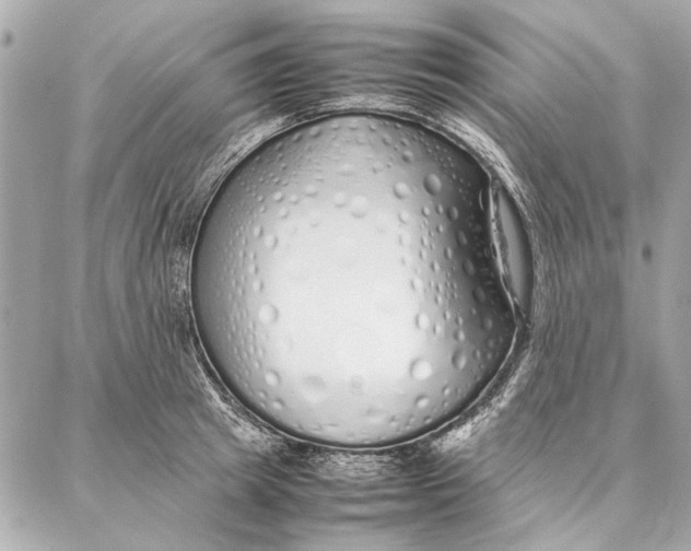 X0000087360849200705111643