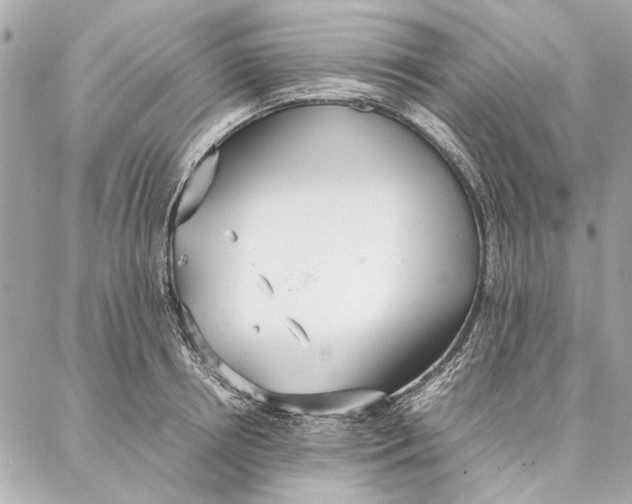 X0000087360850200705111643