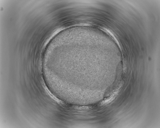 X0000087360851200705111643