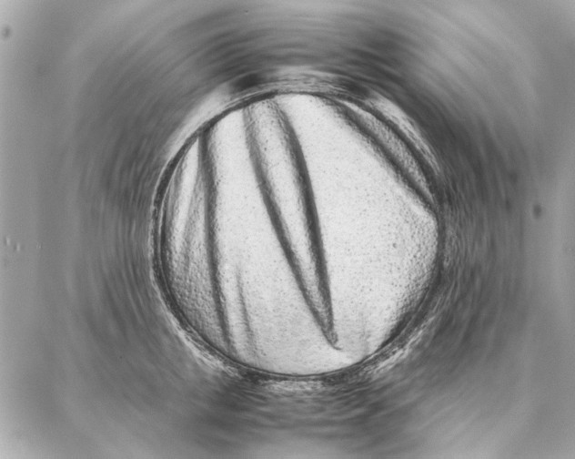 X0000087360853200705111643