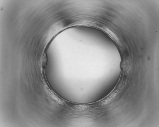 X0000087360854200705111643