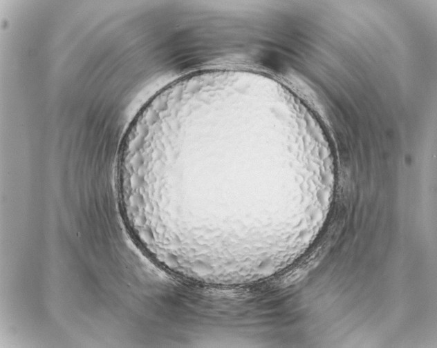 X0000087360855200705111643