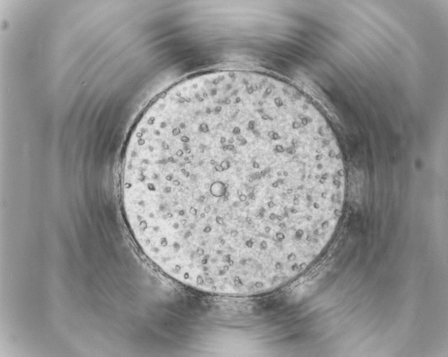 X0000087360856200705111643