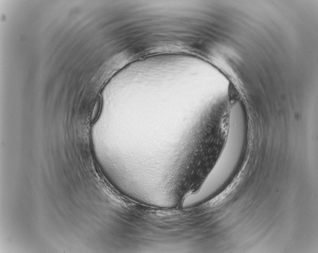 X0000087360857200705111643