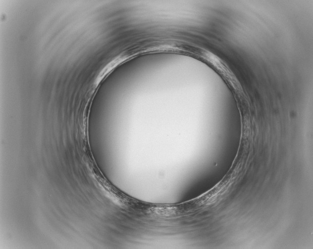 X0000087360858200705111643