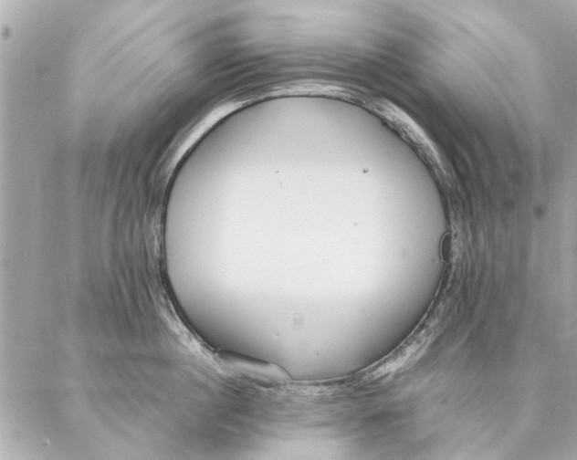 X0000087360860200705111643