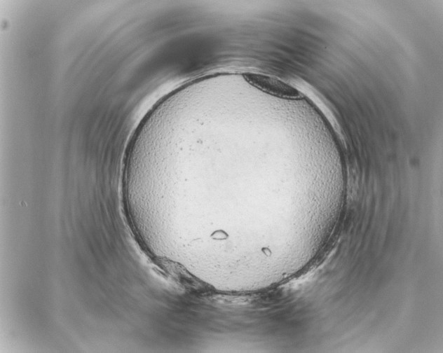 X0000087360861200705111643