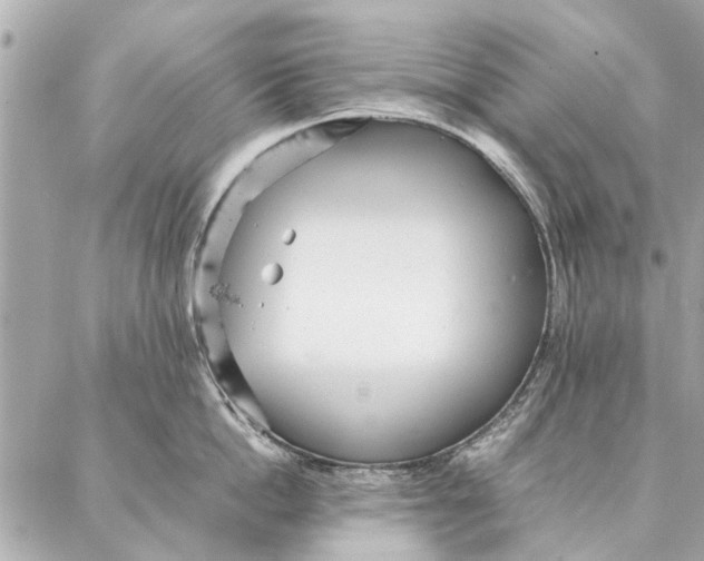 X0000087360862200705111643