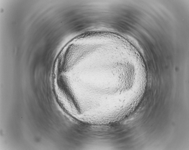 X0000087360863200705111643