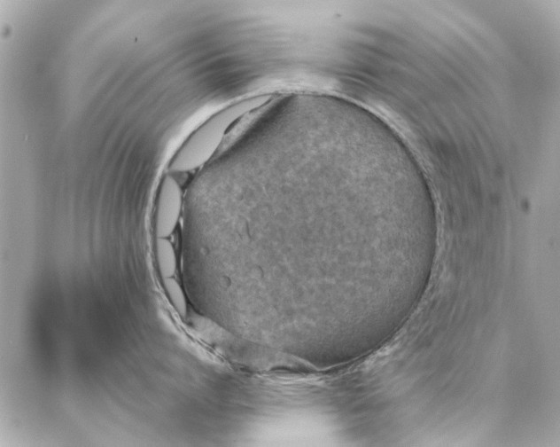 X0000087360864200705111643