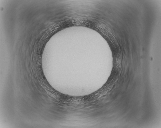 X0000087360865200705111642