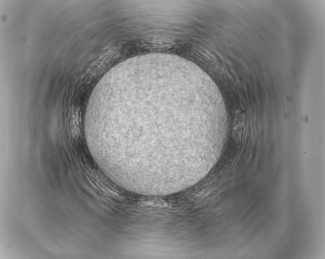 X0000087360866200705111642