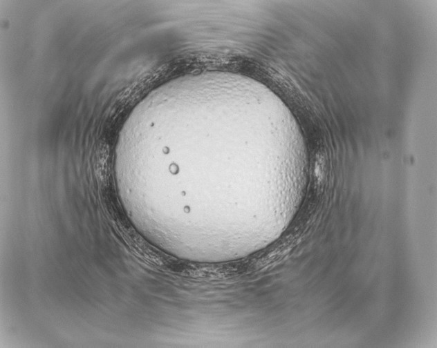 X0000087360867200705111642