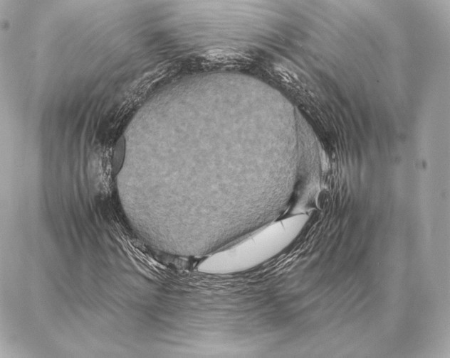 X0000087360868200705111642