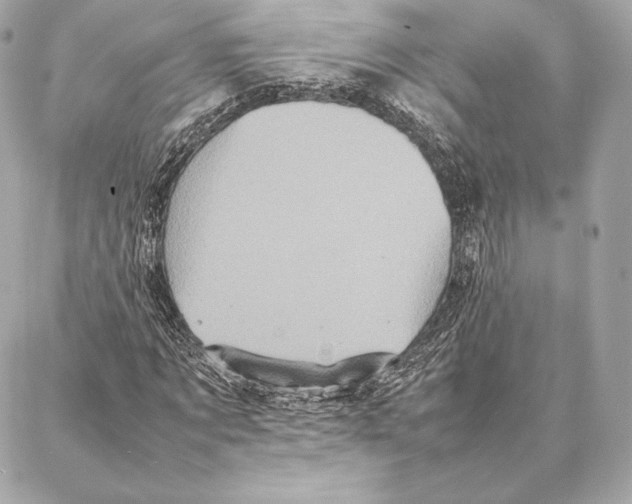 X0000087360869200705111642