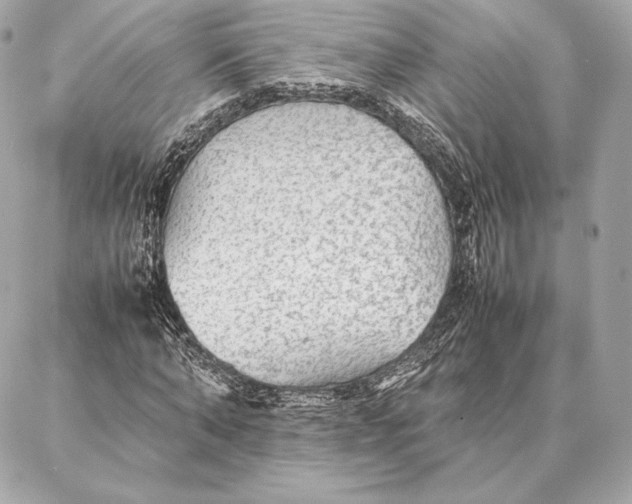 X0000087360870200705111642