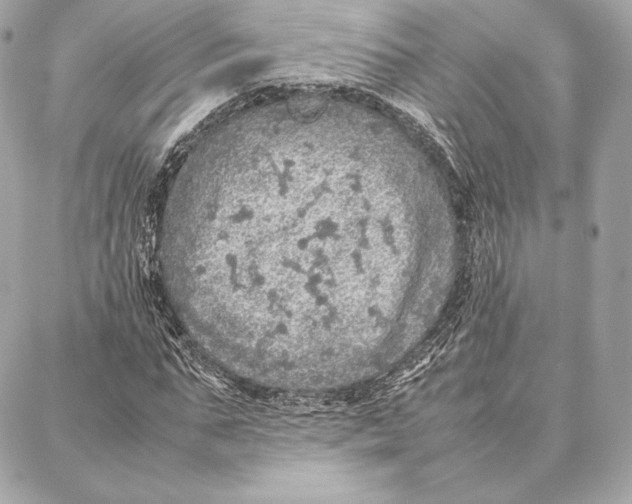 X0000087360871200705111642