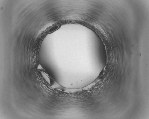 X0000087360872200705111642