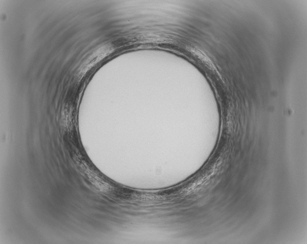 X0000087360873200705111642