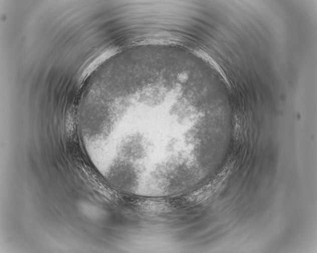 X0000087360874200705111642