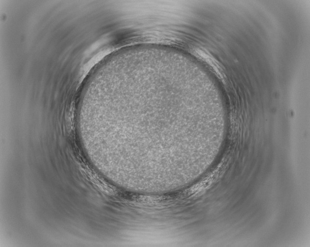 X0000087360875200705111642