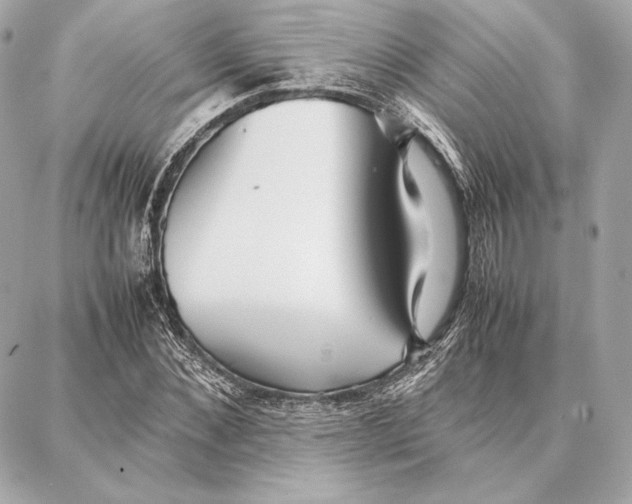 X0000087360876200705111642