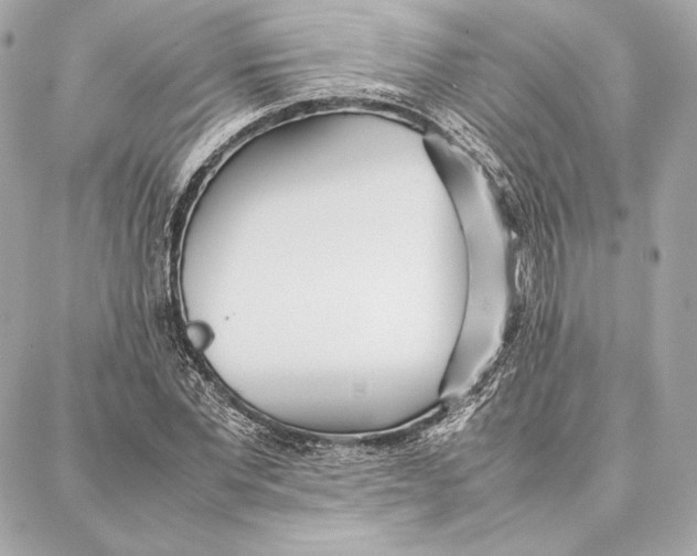 X0000087360877200705111642