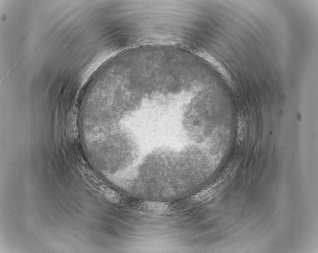 X0000087360878200705111642