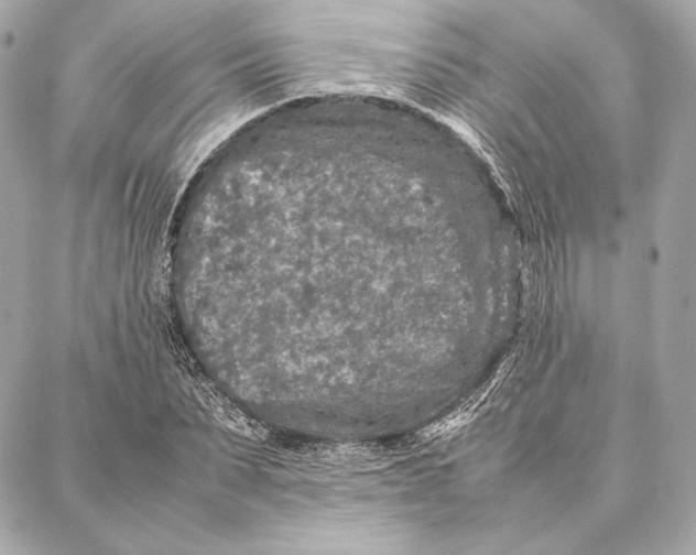 X0000087360879200705111642