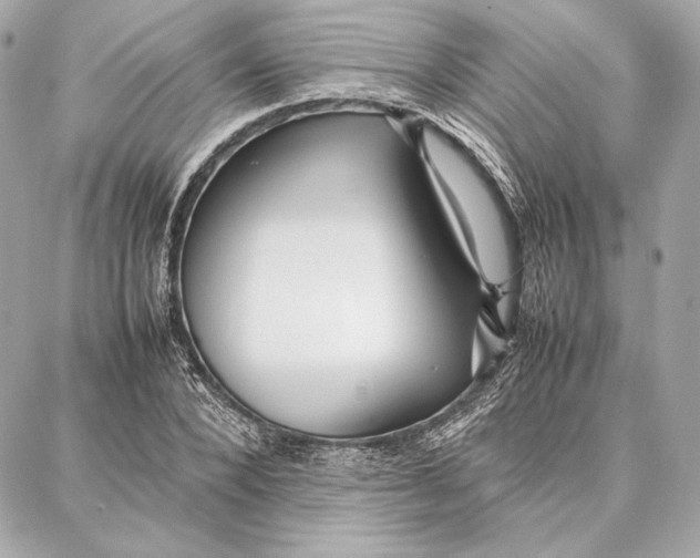 X0000087360880200705111642