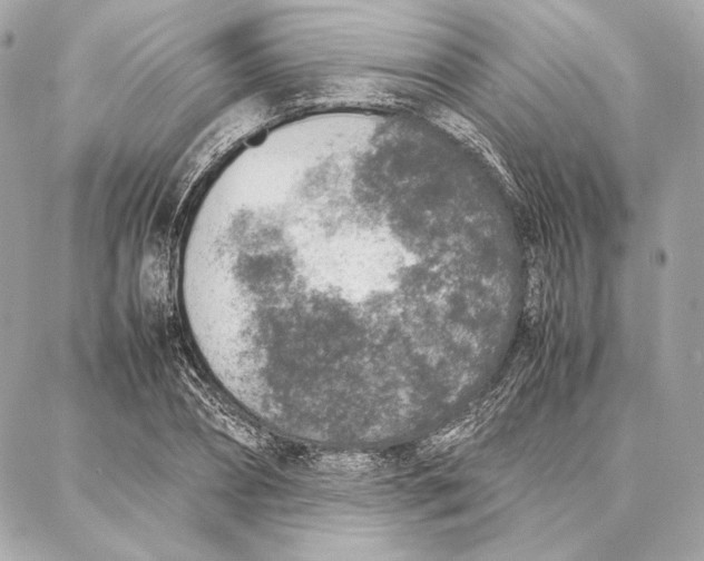 X0000087360882200705111642