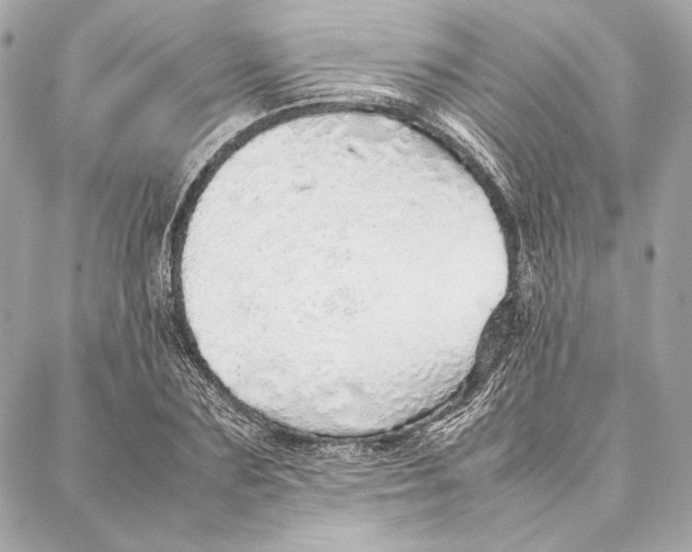 X0000087360883200705111642