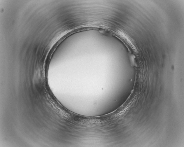 X0000087360884200705111642