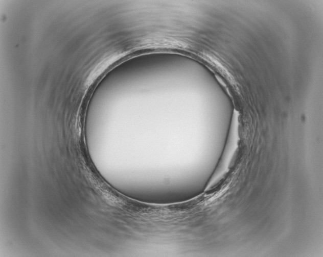 X0000087360885200705111642