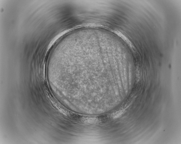 X0000087360886200705111642