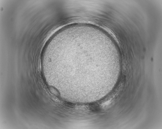 X0000087360887200705111642