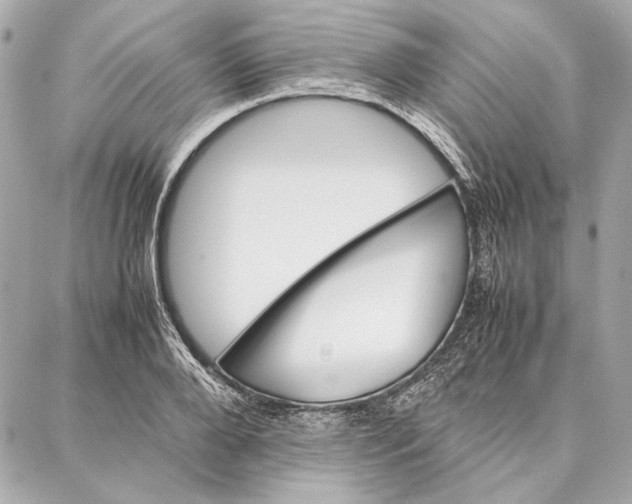 X0000087360888200705111642