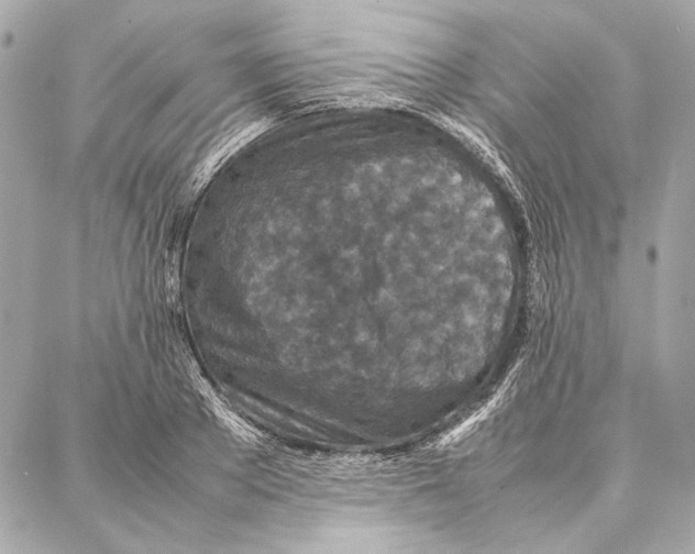 X0000087360889200705111642