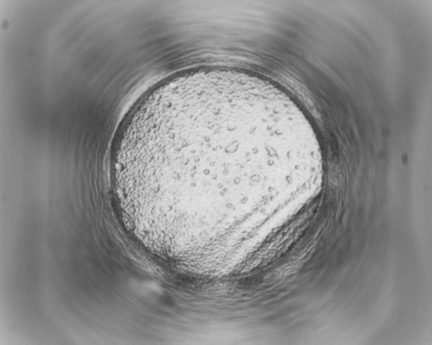 X0000087360891200705111642